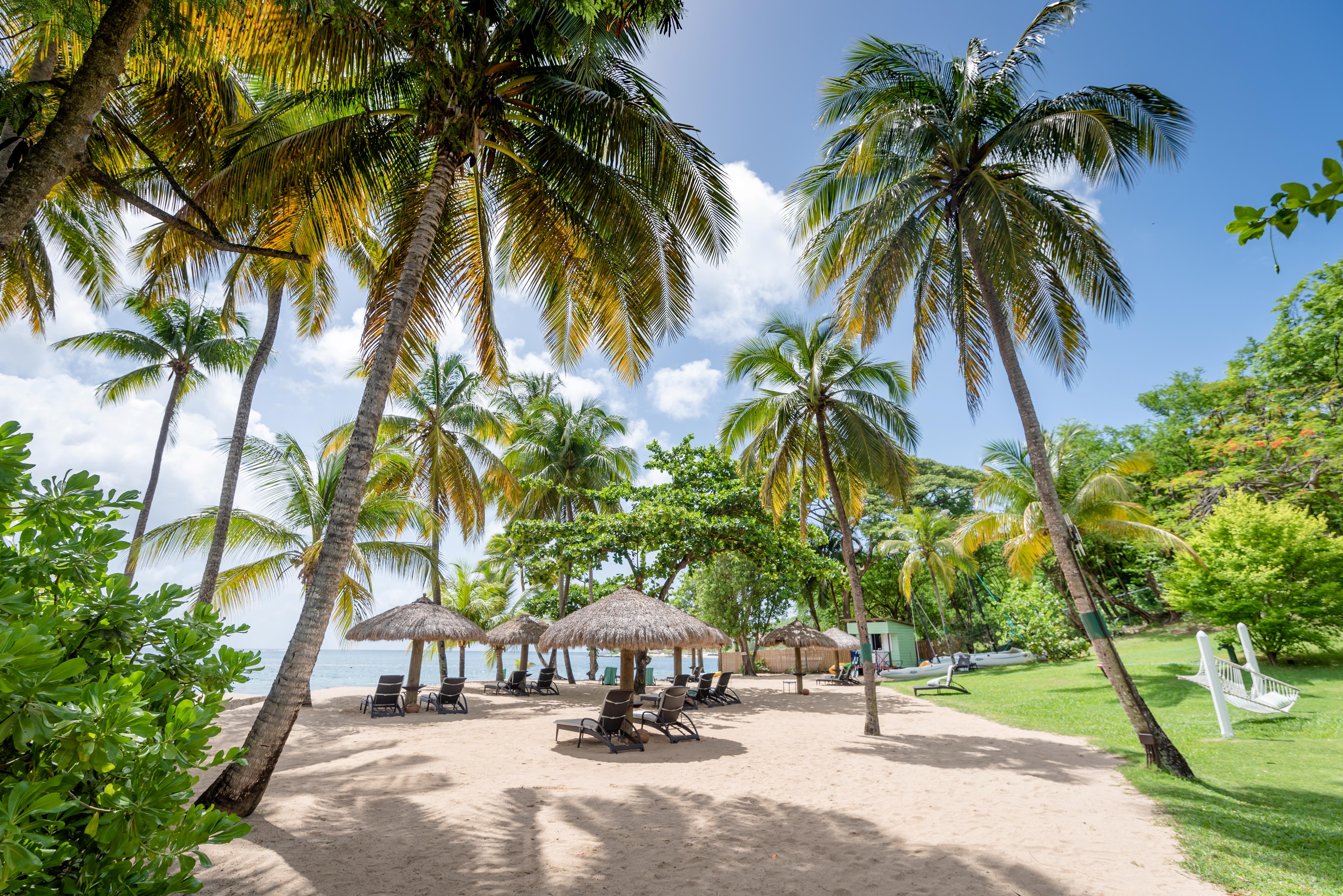Dive Into Caribbean Luxury