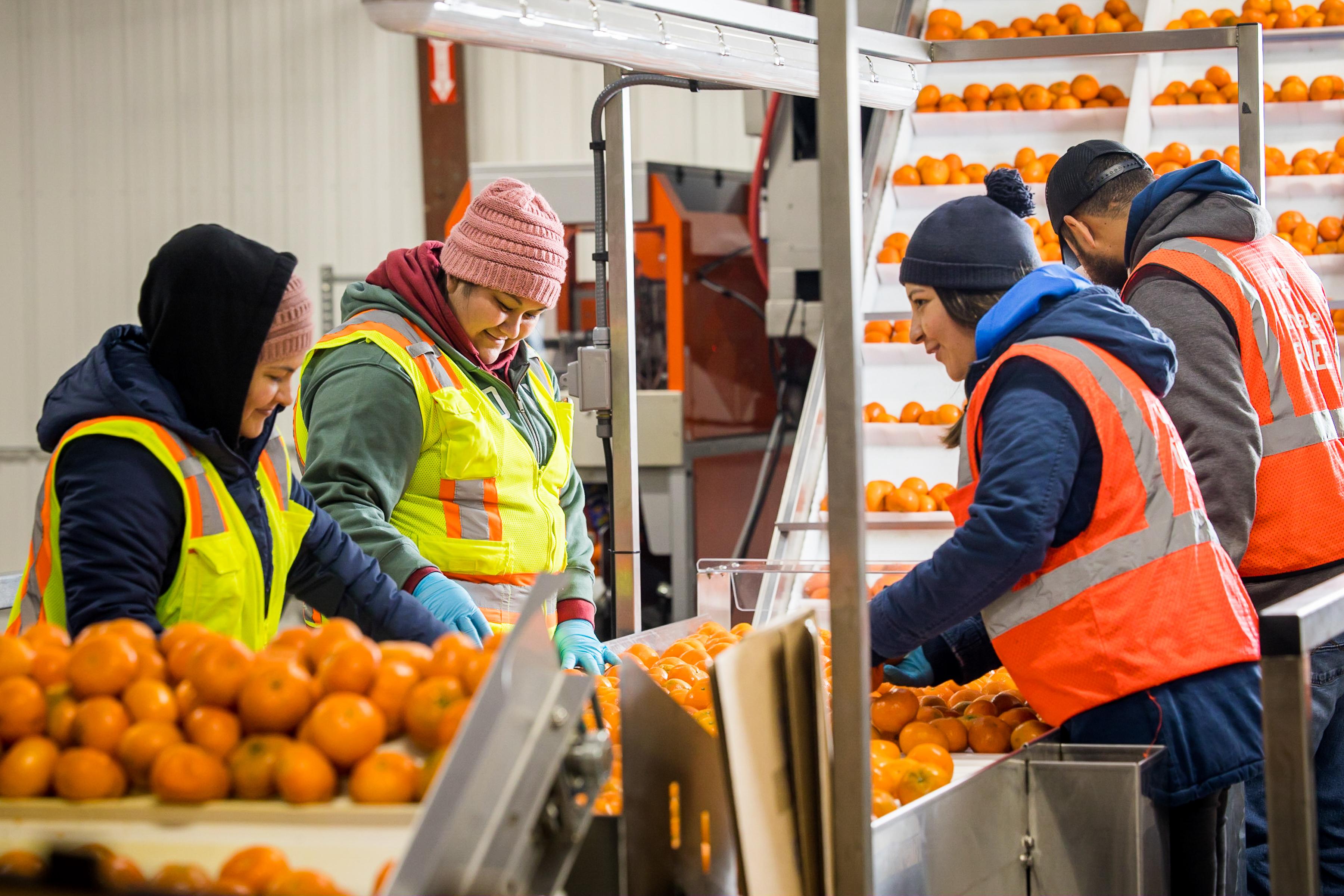 The Solution to Feeding the World Lies in the Cold Chain