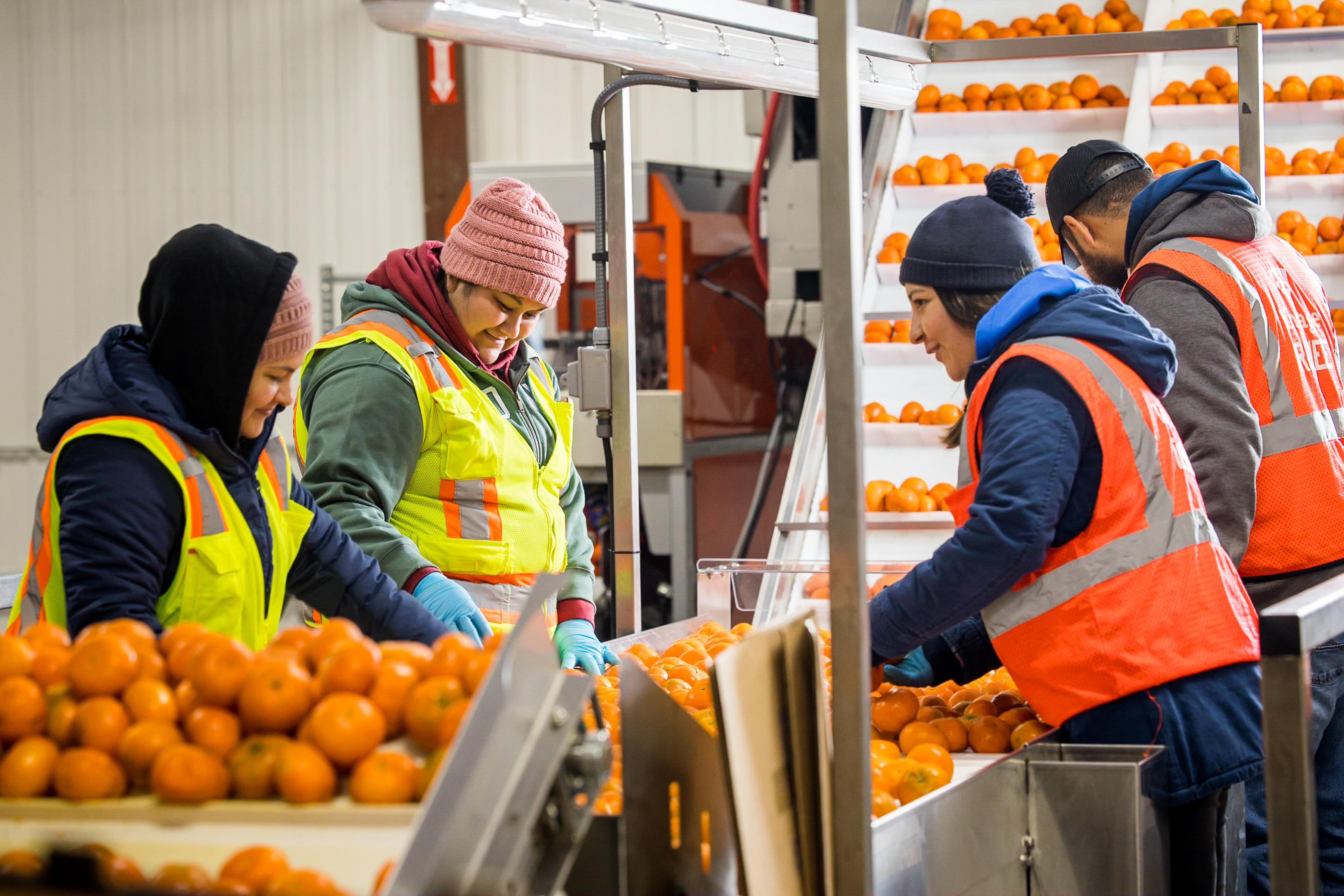 The Solution To Feeding The World Lies In The Cold Chain Arizona The Solution To Feeding The World Lies In The Cold Chain Arizona